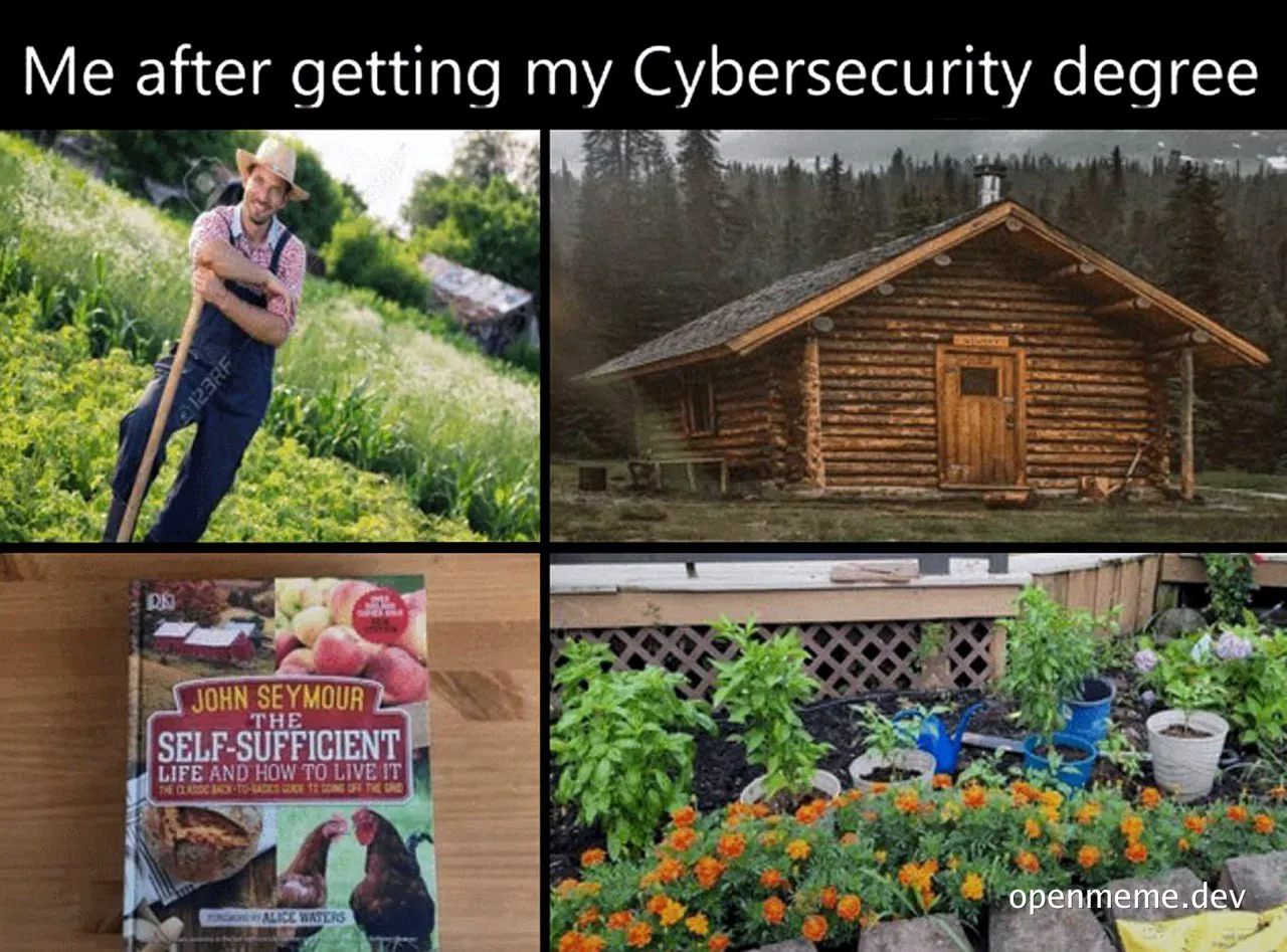 humorous meme about cybersecurity degree