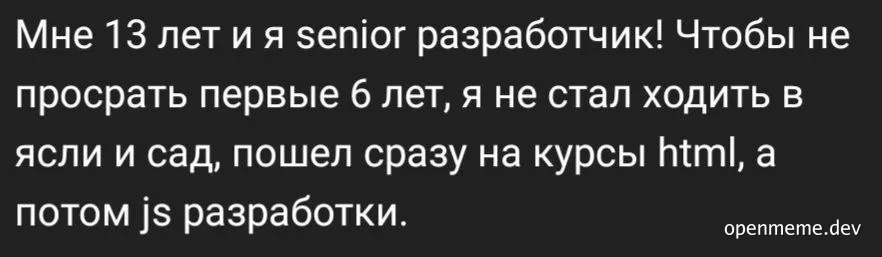 A young boy claims to be a senior developer at 13