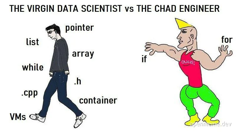 Virgin vs Chad meme: a slouching data scientist surrounded by C++ terms like pointer, list, while, .cpp, .h, array,