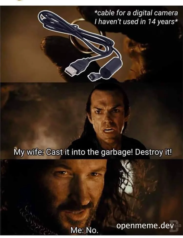 Three-panel Lord of the Rings meme showing an old digital camera cable, a wife demanding it be destroyed, and the user