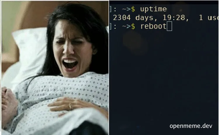 Woman in hospital gown screaming in pain next to a terminal showing uptime and reboot command