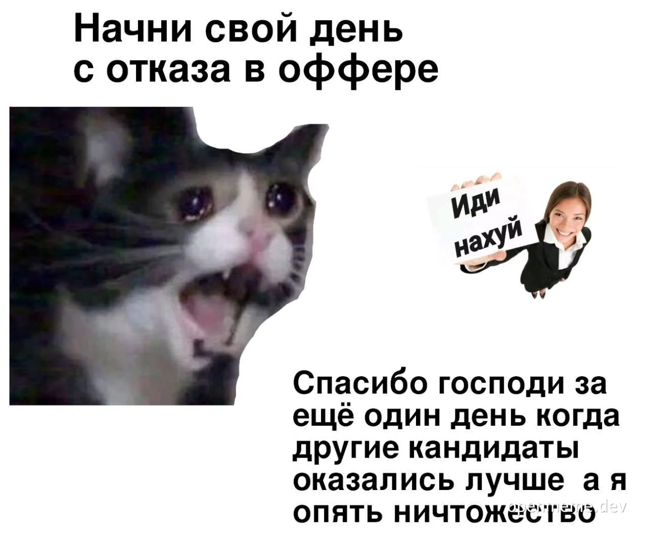 angry cat meme with russian text about job offer rejection