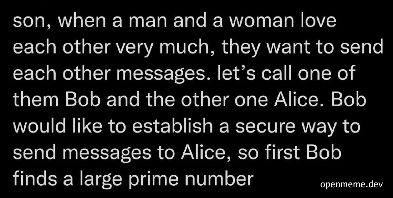 text explaining secure messaging with large prime numbers