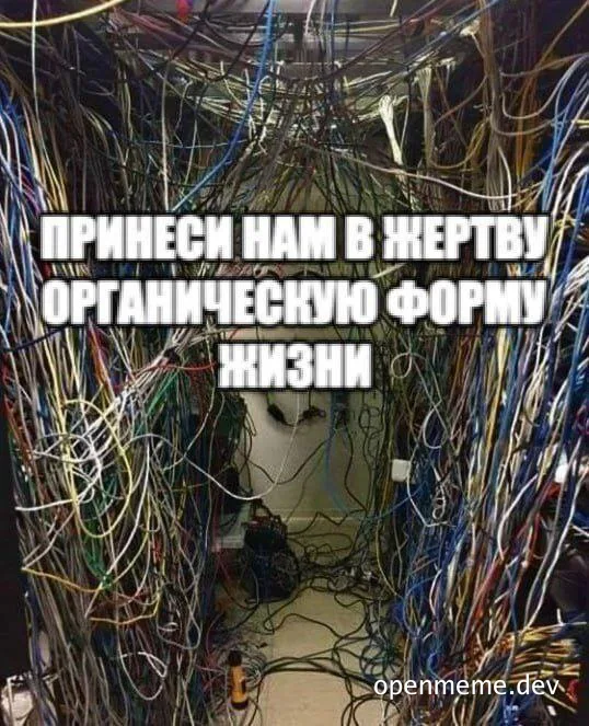 meme of a cat in a tunnel of colorful wires with russian text