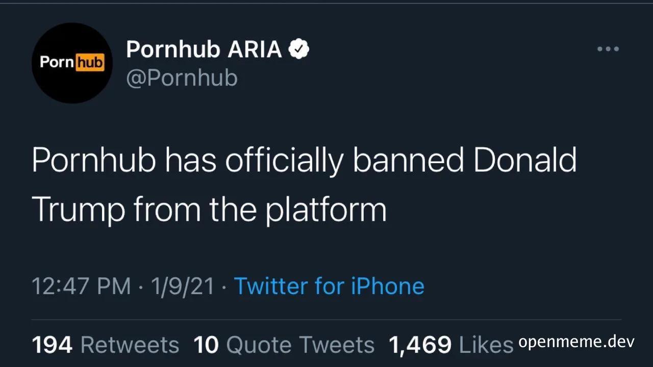 Pornhub bans Donald Trump