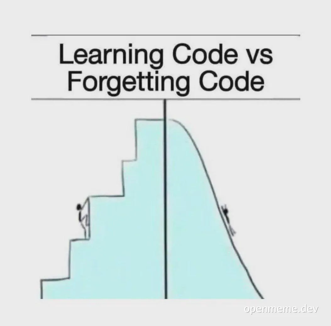 Learning Code vs Forgetting Code meme