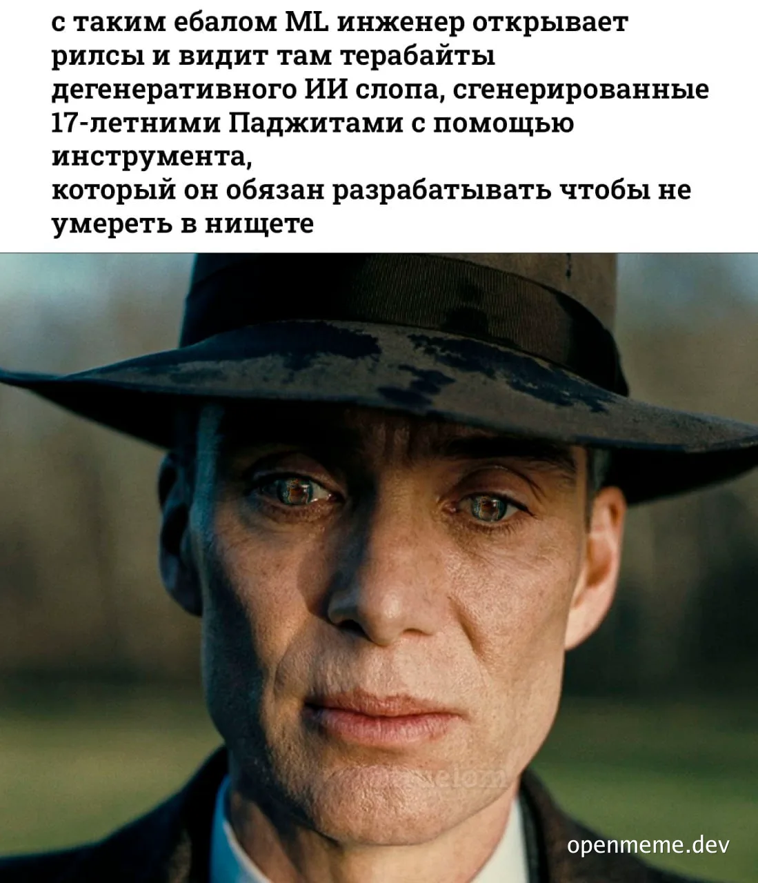 Close-up of a man in a hat looking disappointed, meme about ML engineers and AI slop