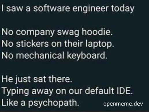 meme about a software engineer who doesn't use company swag or stereotypical developer gear