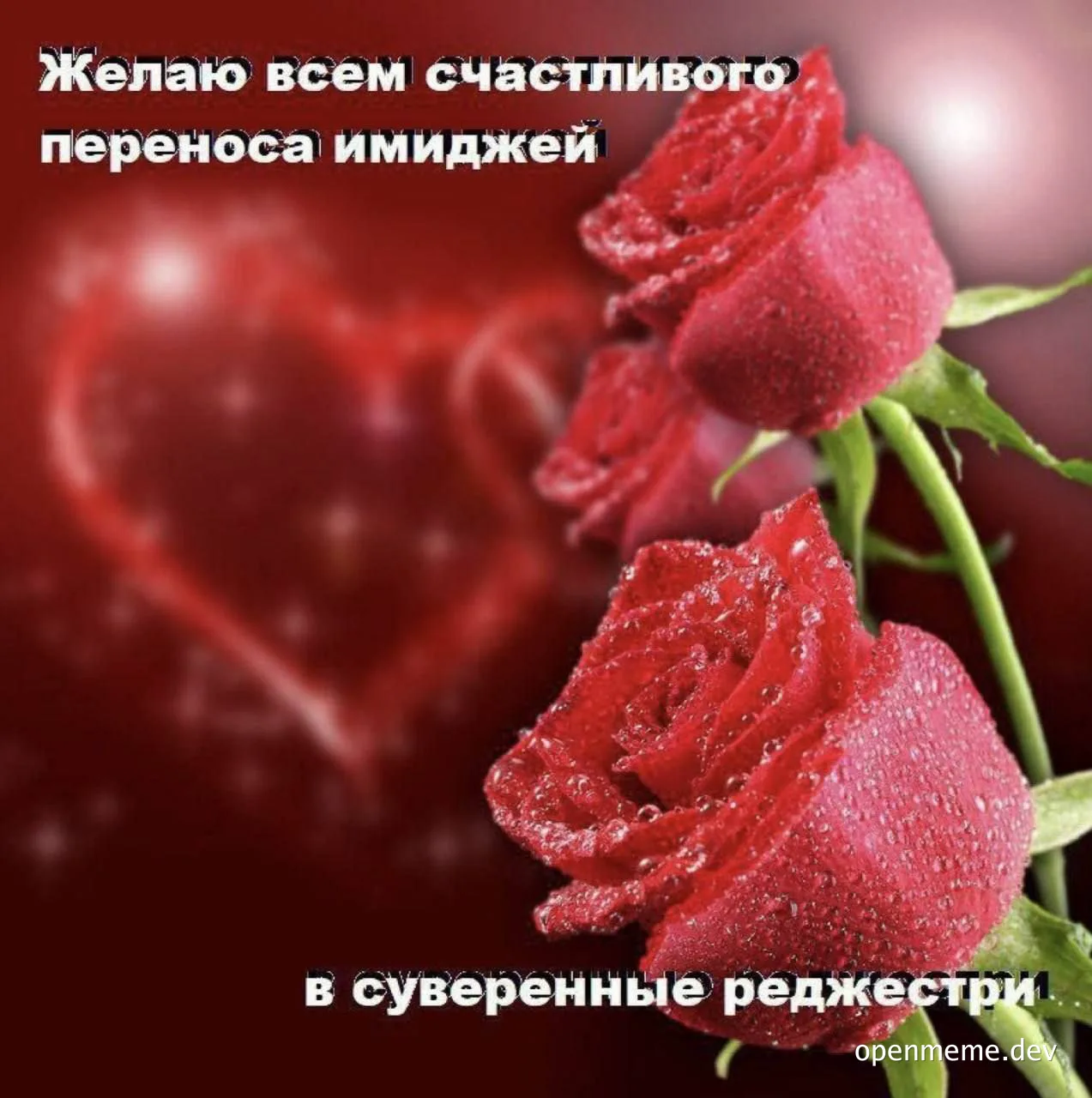 roses with water droplets and heart background