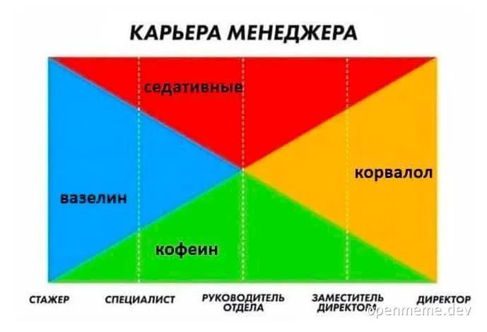 career stages of a manager chart