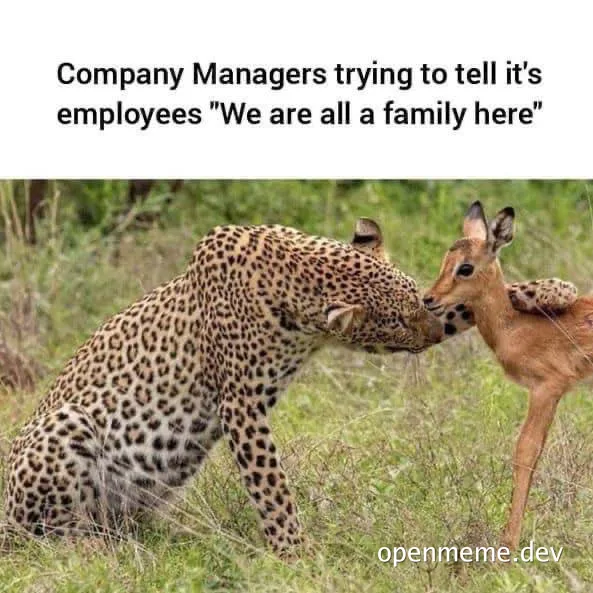 A leopard and a deer touching noses with a caption about company managers