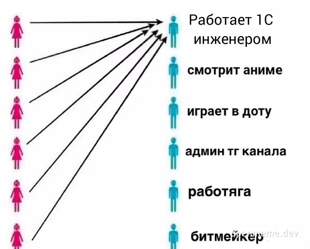 a flowchart meme in Russian showing multiple women interested in one man with various interests