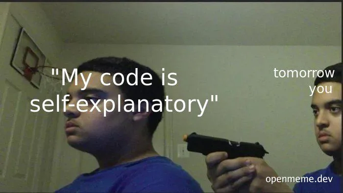 programmer code review meme