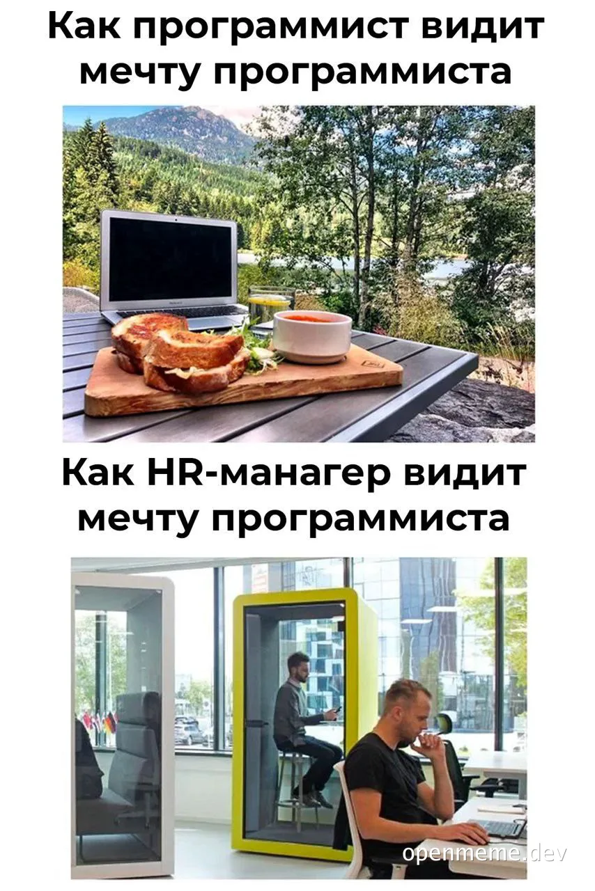 programmer and HR manager perceptions of a programmer's dream