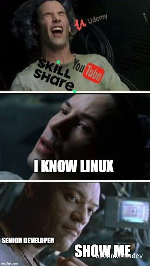 Senior developer questioning a junior about Linux knowledge