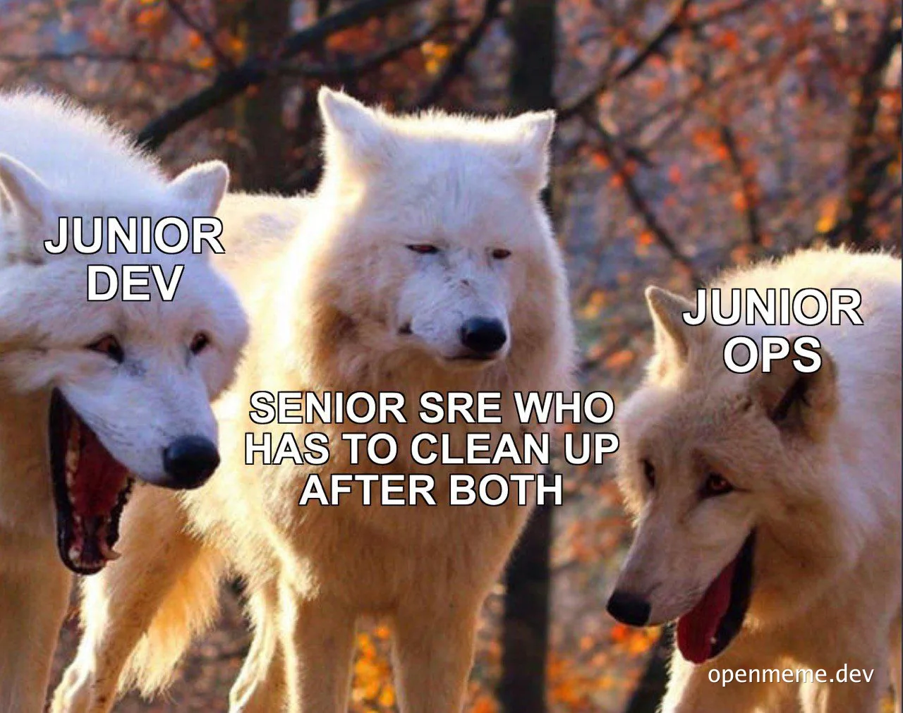 Three white wolves labeled junior dev, senior sre who has to clean up after both, and junior ops