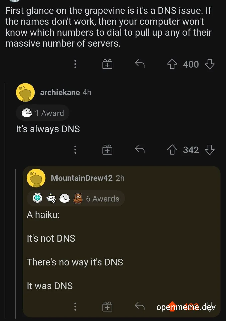 DNS issue meme