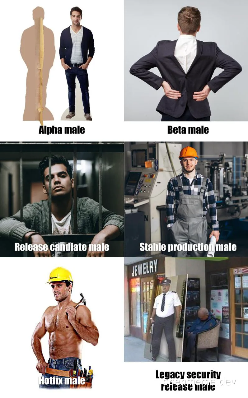 software development team roles meme