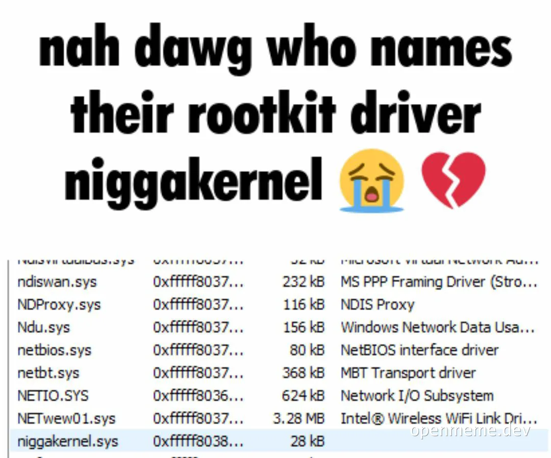 nah dawg who names their rootkit driver niggakernel