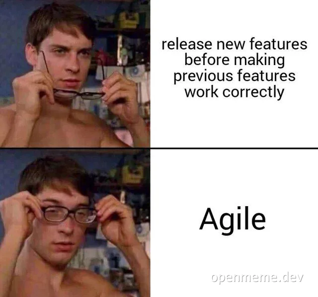 Shahmir Bhandoon meme about agile development