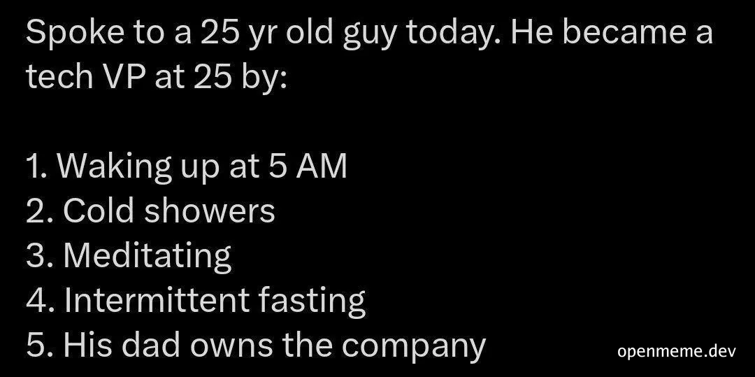 humorous text about becoming a tech VP at 25