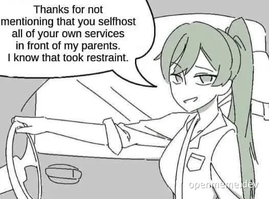 Cartoon girl driving with a speech bubble saying thanks for not mentioning selfhost