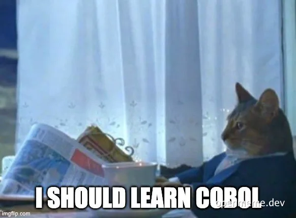 cat in suit reading newspaper with text 'I SHOULD LEARN COBOL'