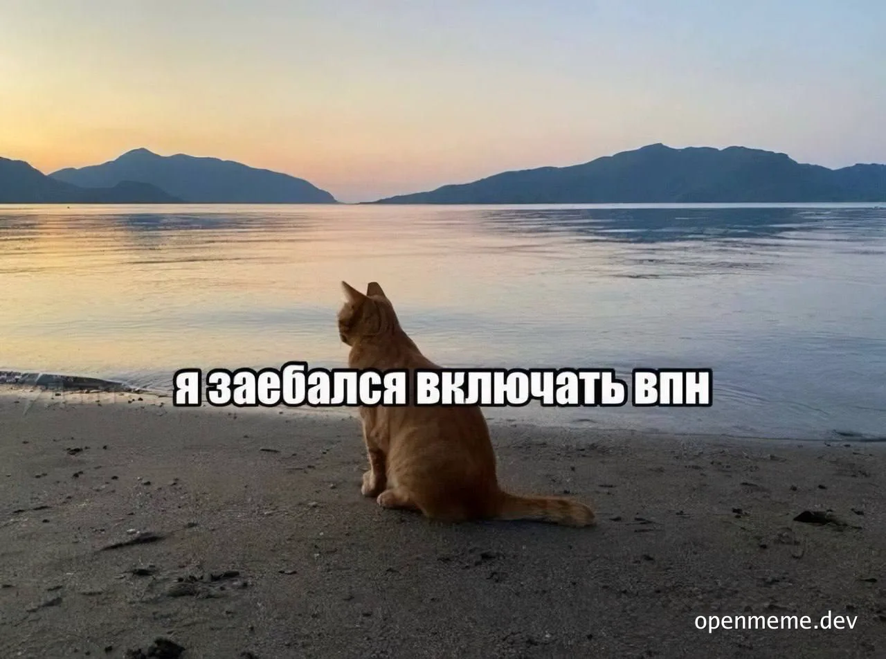 cat on beach looking out at water with mountains in background