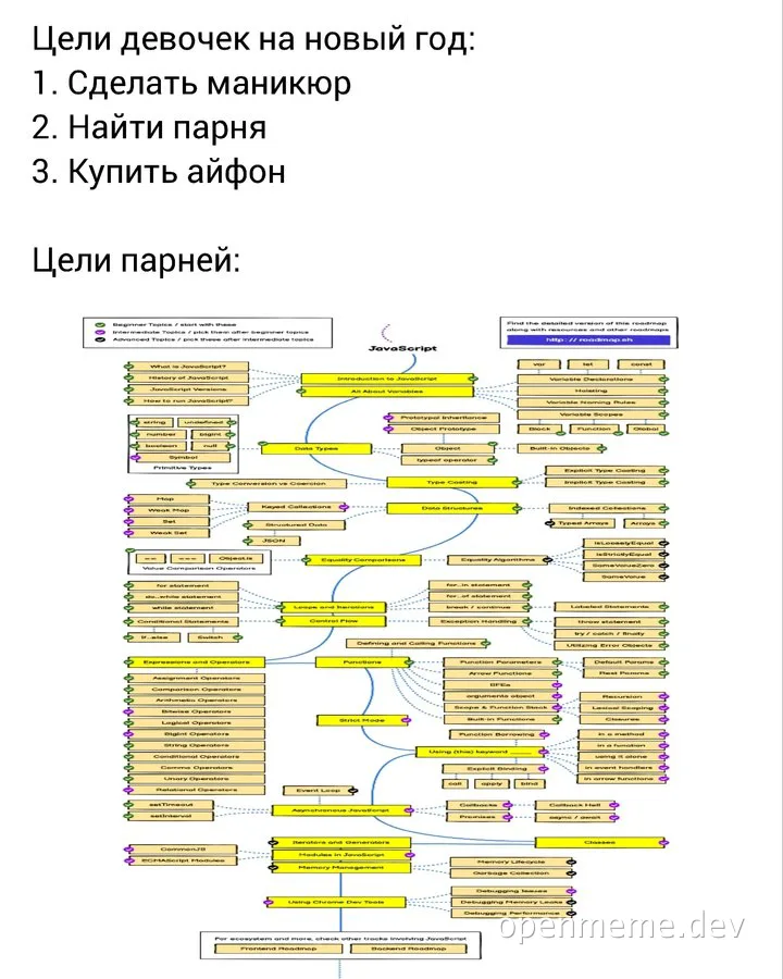 russian new year's resolutions for girls and guys contrasted with a complex javascript flowchart