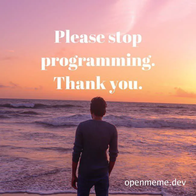 man looking at ocean with text 'Please stop programming. Thank you.'
