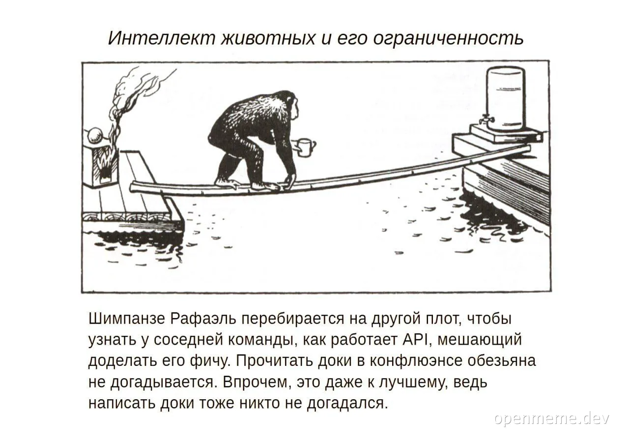 chimpanzee on a plank between two rafts