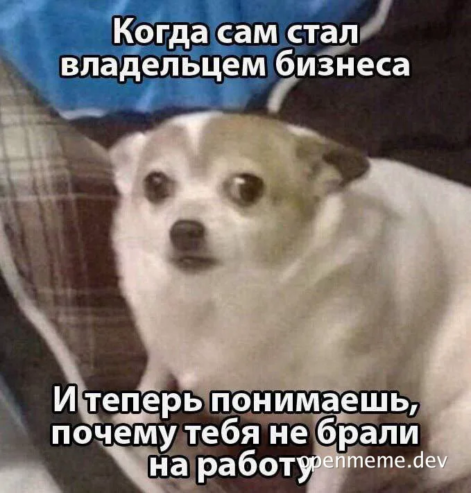 dog with a surprised expression and russian text overlay