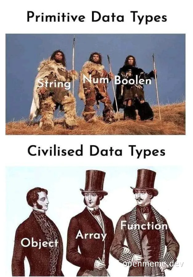 primitive vs civilised data types meme