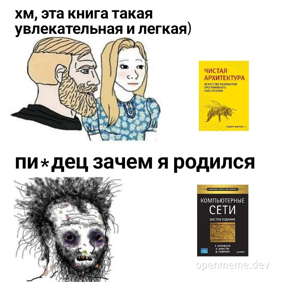 russian meme about developer reaction to clean architecture and computer networks books