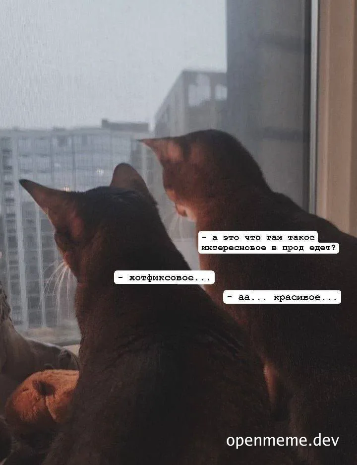 Two cats looking out the window with Russian captions