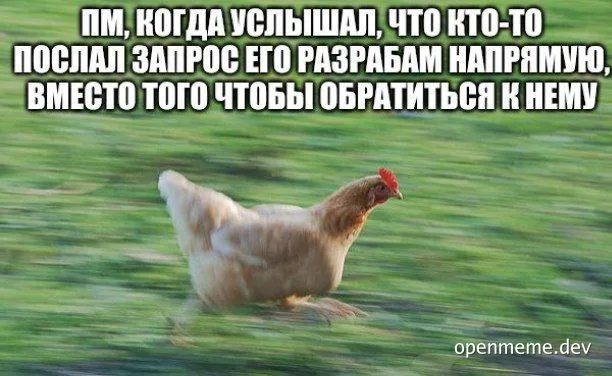 chicken running in field with russian text overlay