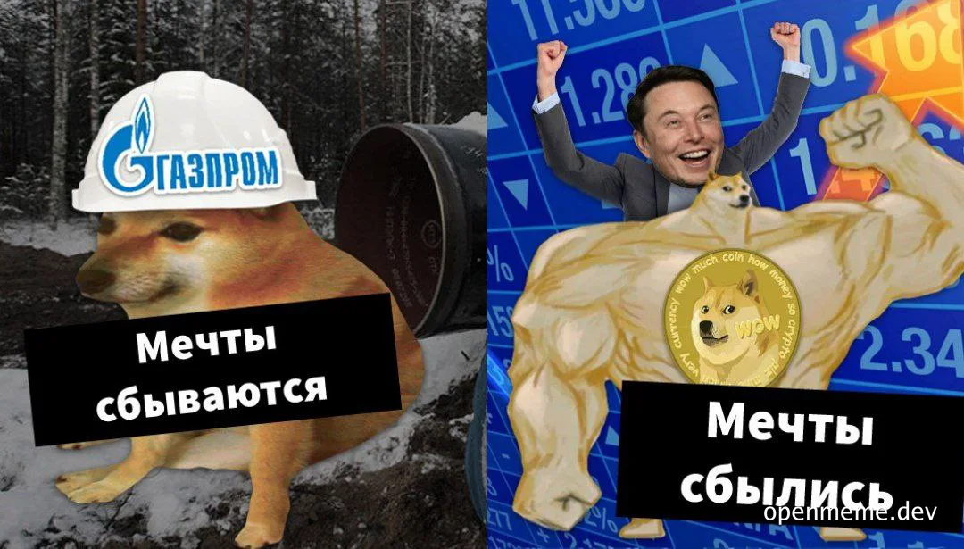 Doge wearing Gazprom helmet and flexing doge with Elon Musk
