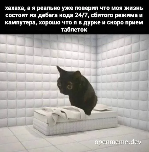 cat sitting on a hospital bed in a white room