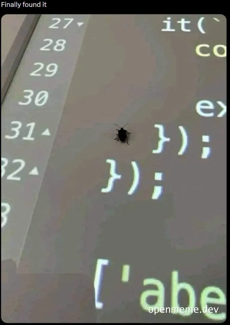 a bug on a computer screen with code on it
