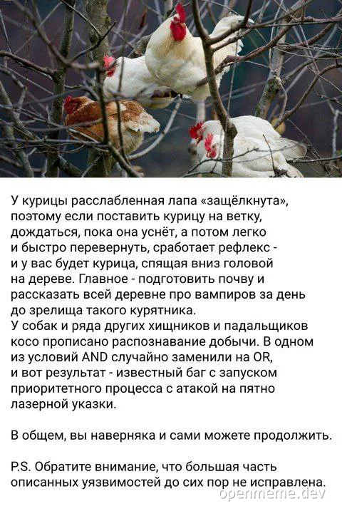 chickens on a tree branch