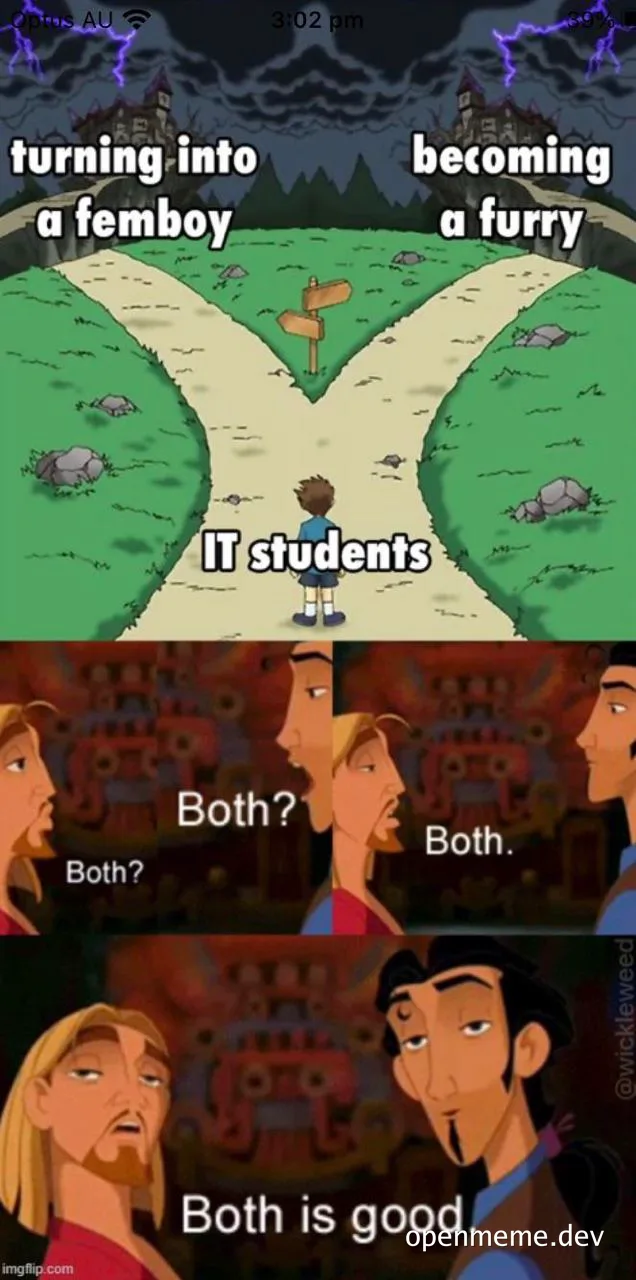 IT students meme about femboy and furry