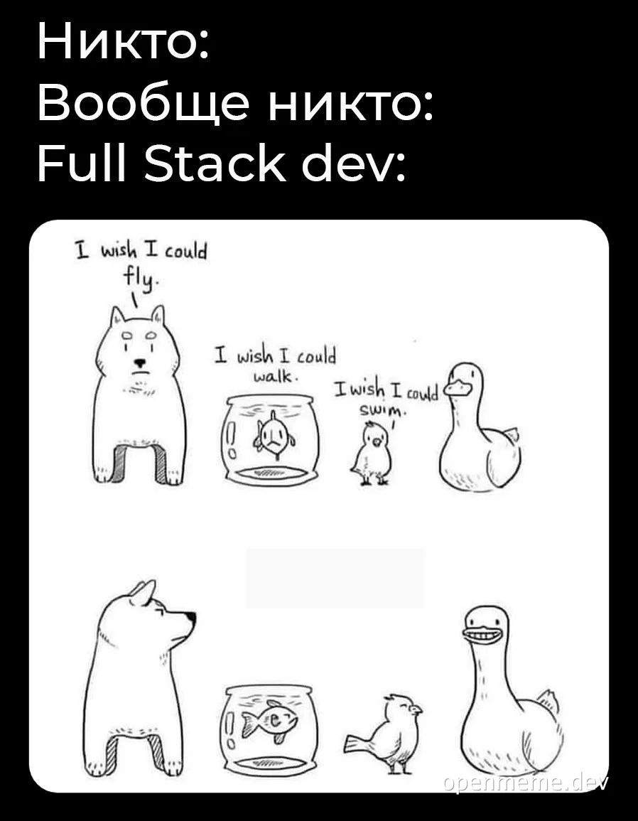Full Stack developer meme with dog, fish, bird and duck