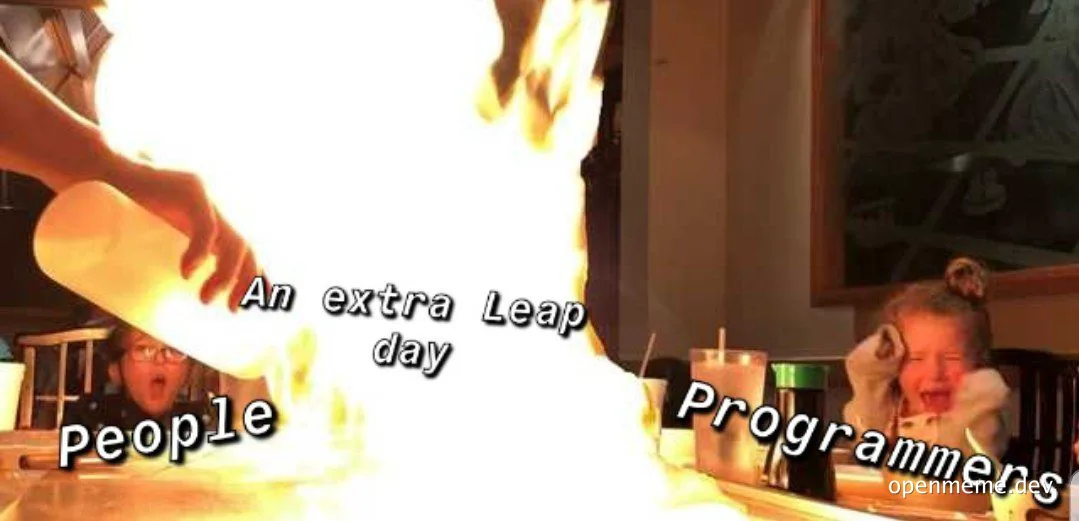 programmers reaction to extra leap day