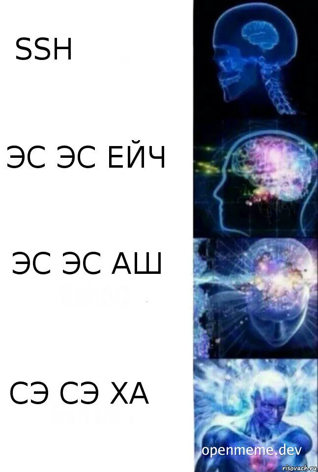 SSH meme with brain evolution