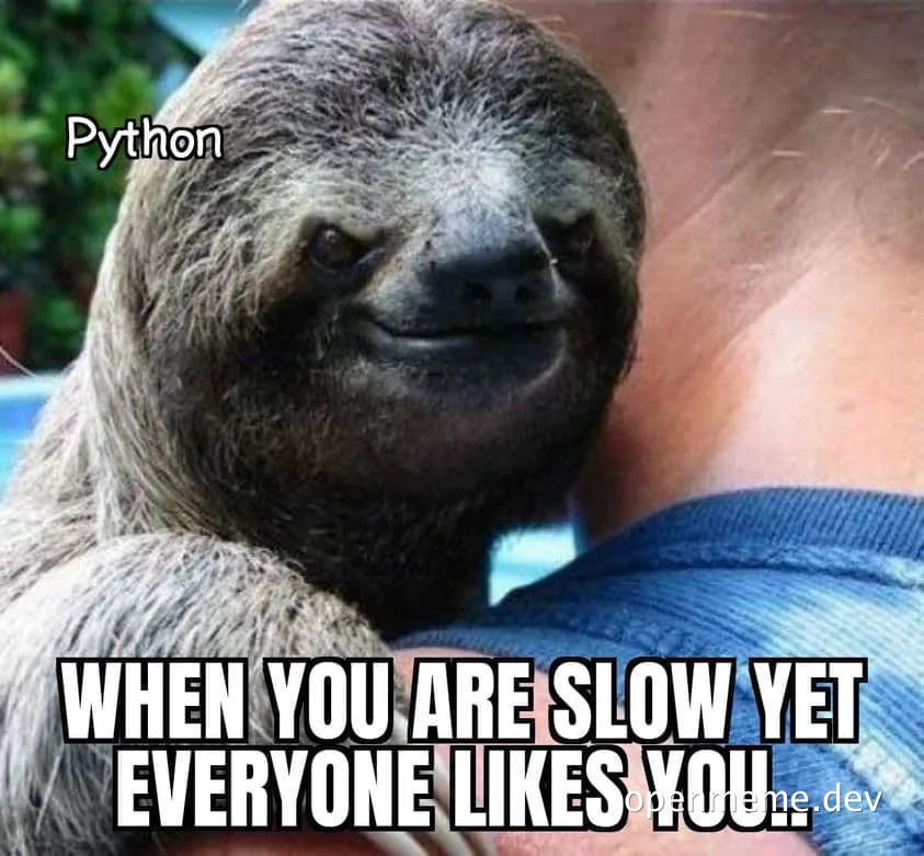 Sloth meme with Python label