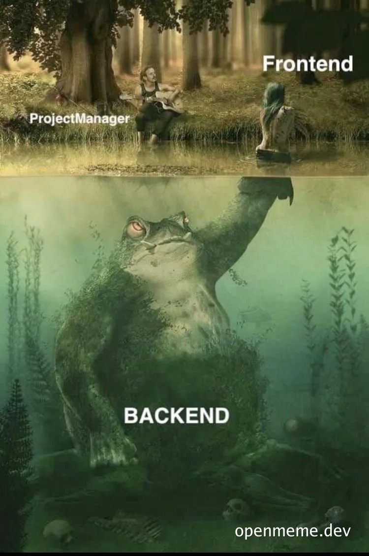 humorous meme contrasting frontend and backend development