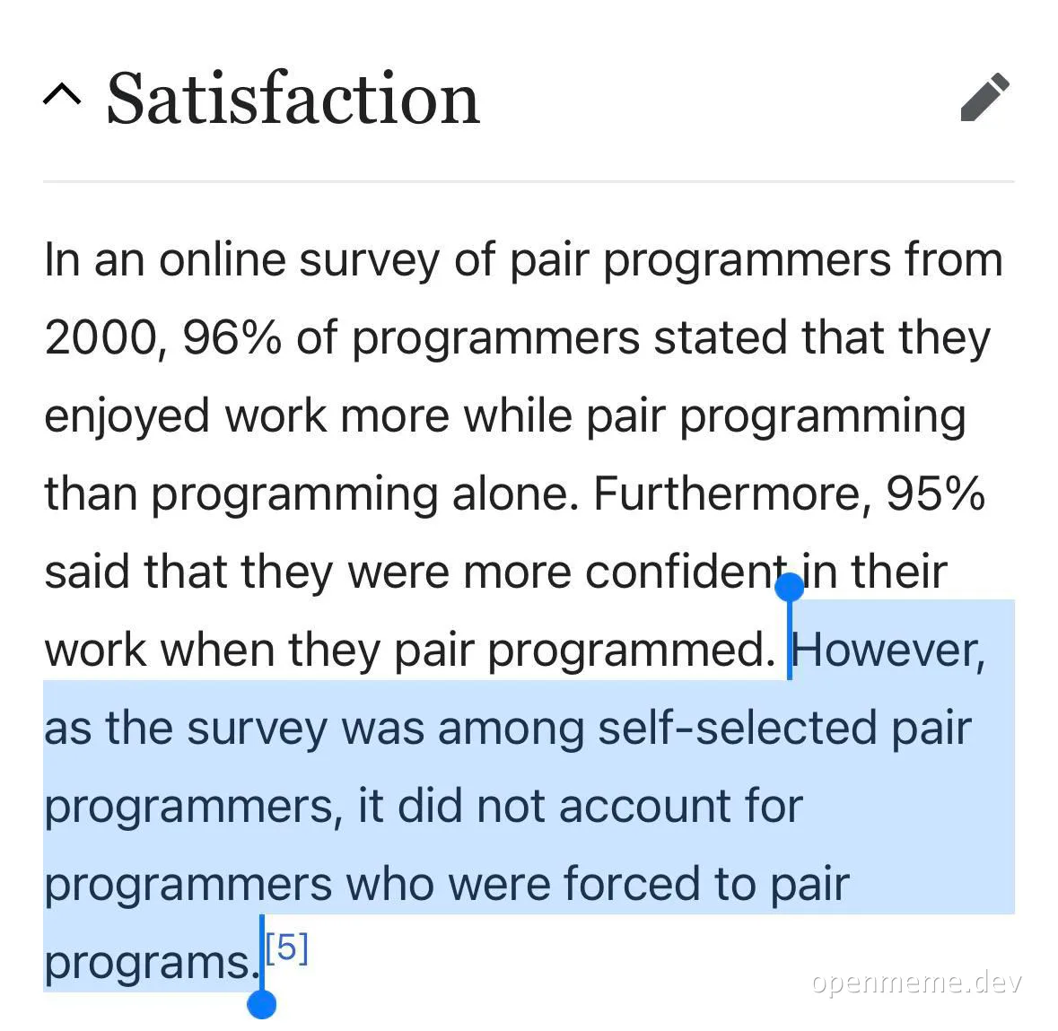 programmers enjoying pair programming