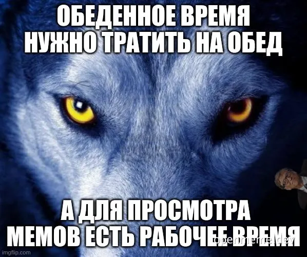 angry wolf face with russian caption about work and memes