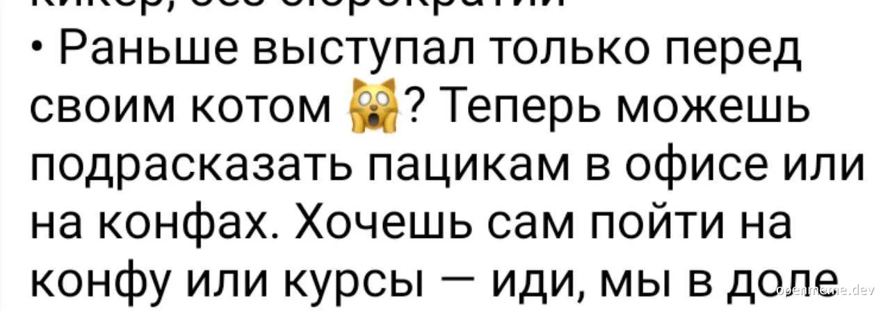 russian text with surprised cat emoji