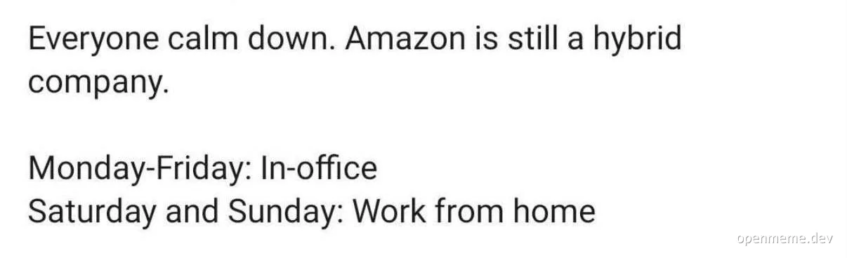 Hybrid work schedule meme